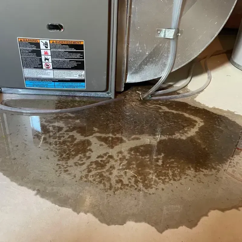 Appliance Leak Cleanup in Palouse, WA